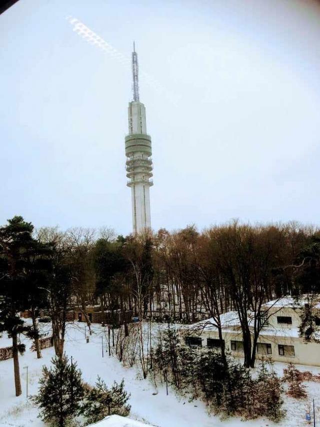 Witte Kruislaan nr …